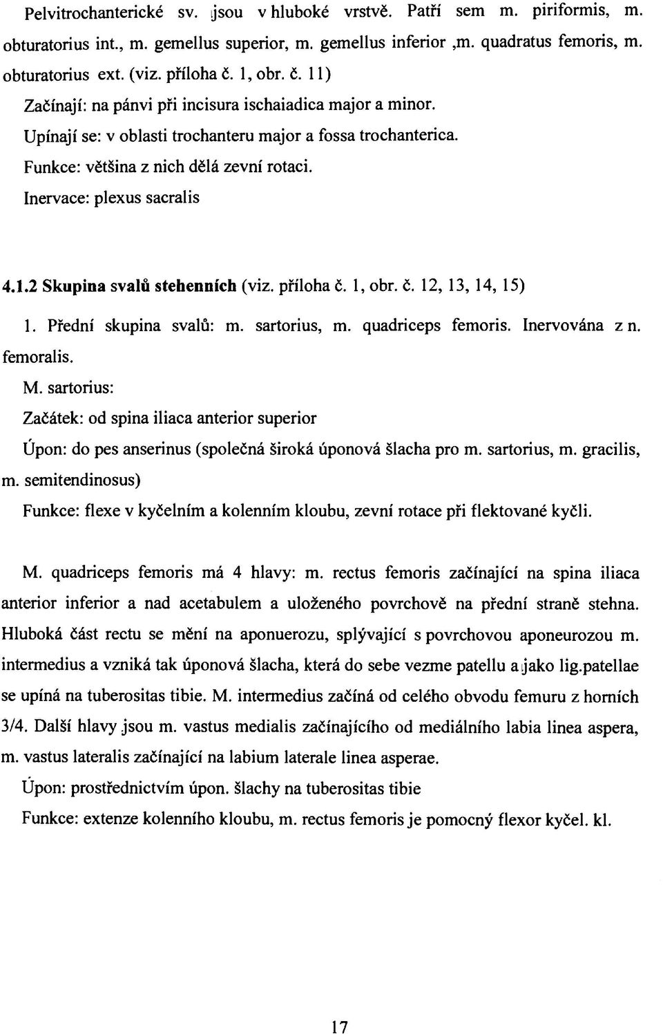 Inervace: plexus sacralis 4.1.2 Skupina svalů stehenních (viz. příloha č. 1, obr. č. 12, 13, 14, 15) 1. Přední skupina svalů: m. sartorius, m. quadriceps femoris. Inervována zn. femoralis. M.