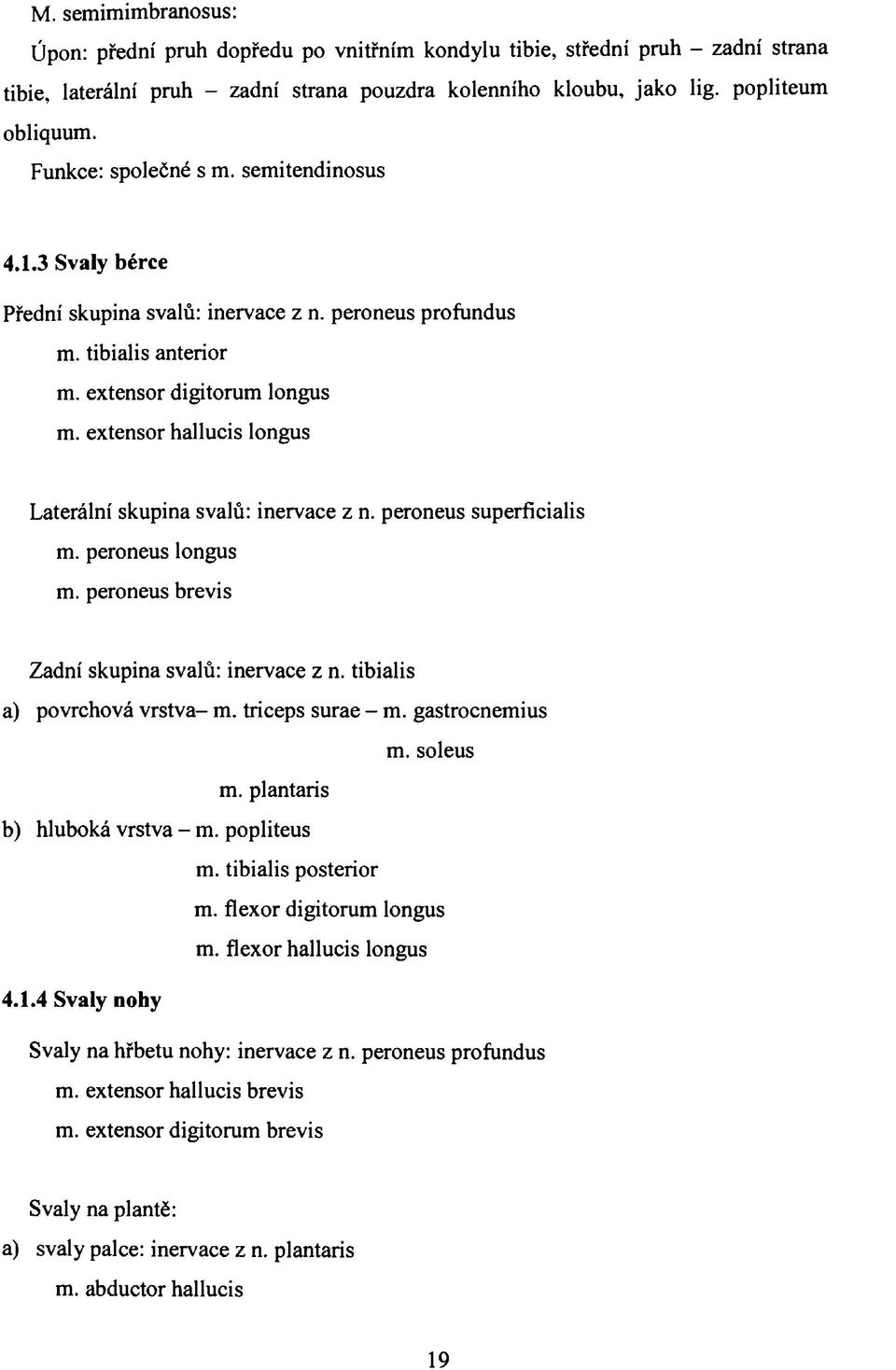 extensor hallucis longus Laterální skupina svalů: inervace z n. peroneus superfícialis m. peroneus longus m. peroneus brevis Zadní skupina svalů: inervace z n. tibialis a) povrchová vrstva- m.