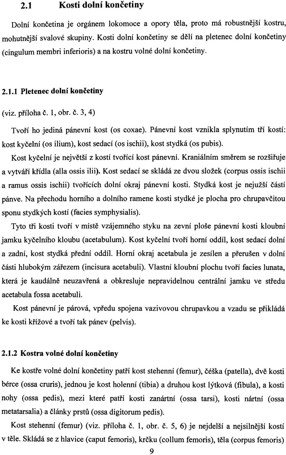 1, obr. č. 3, 4) Tvoří ho jediná pánevní kost (os coxae). Pánevní kost vznikla splynutím tří kostí: kost kyčelní (os ilium), kost sedací (os ischii), kost stydká (os pubis).