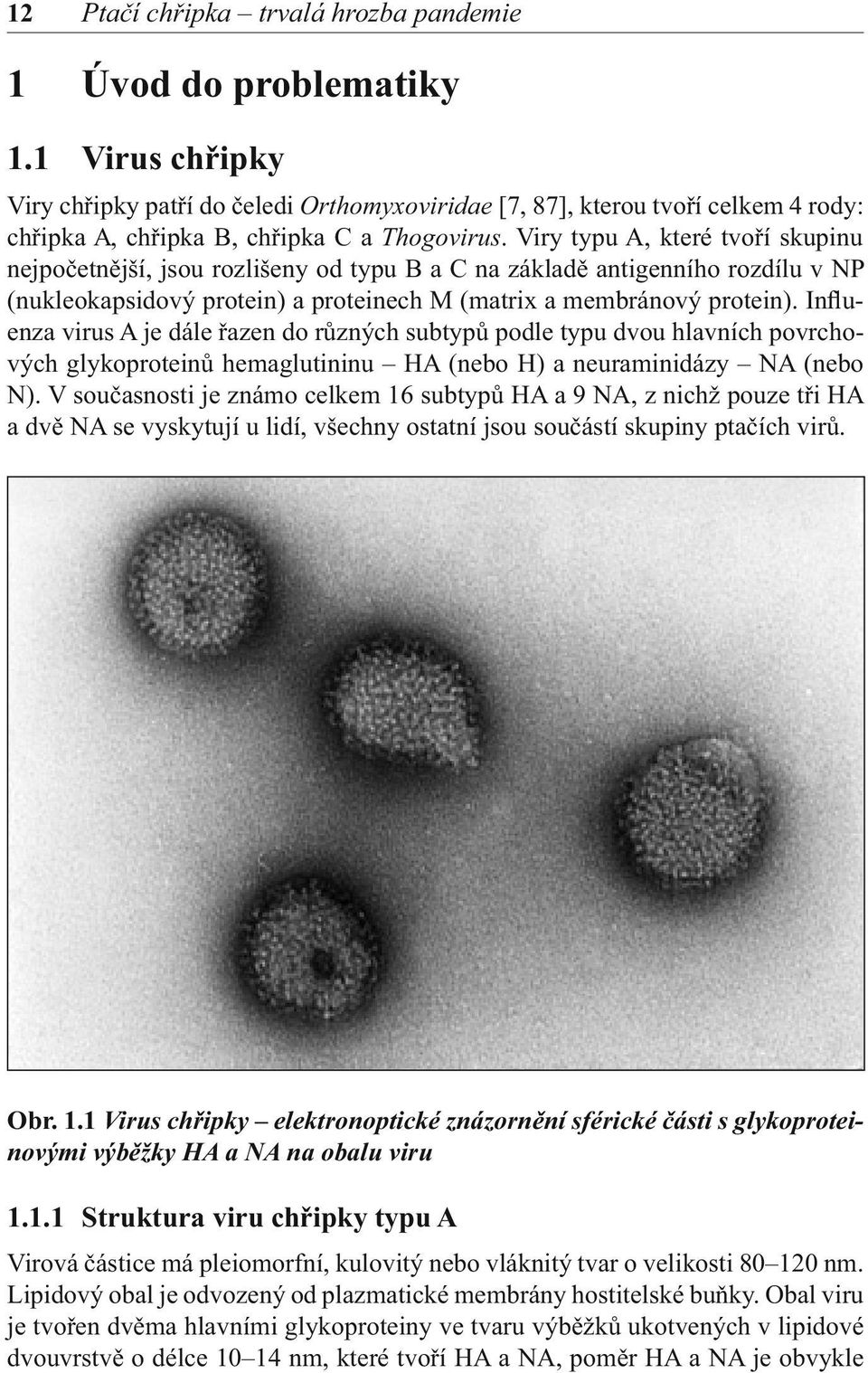 Viry typu A, které tvoří skupinu nejpočetnější, jsou rozlišeny od typu B a C na základě antigenního rozdílu v NP (nukleokapsidový protein) a proteinech M (matrix a membránový protein).