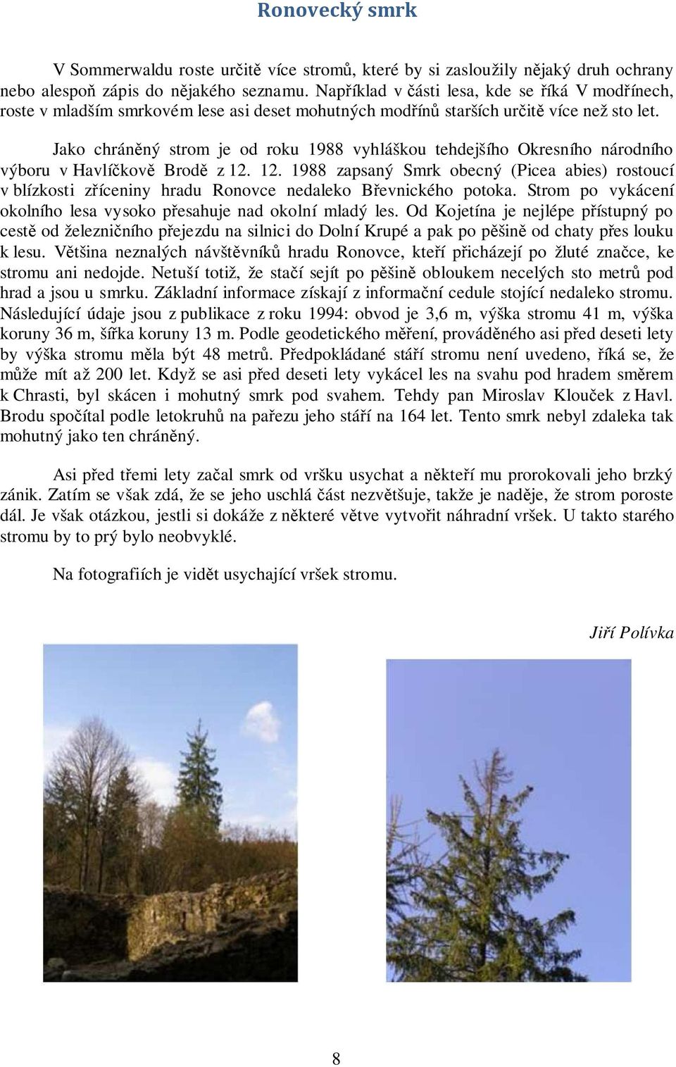 Jako chráněný strom je od roku 1988 vyhláškou tehdejšího Okresního národního výboru v Havlíčkově Brodě z 12.