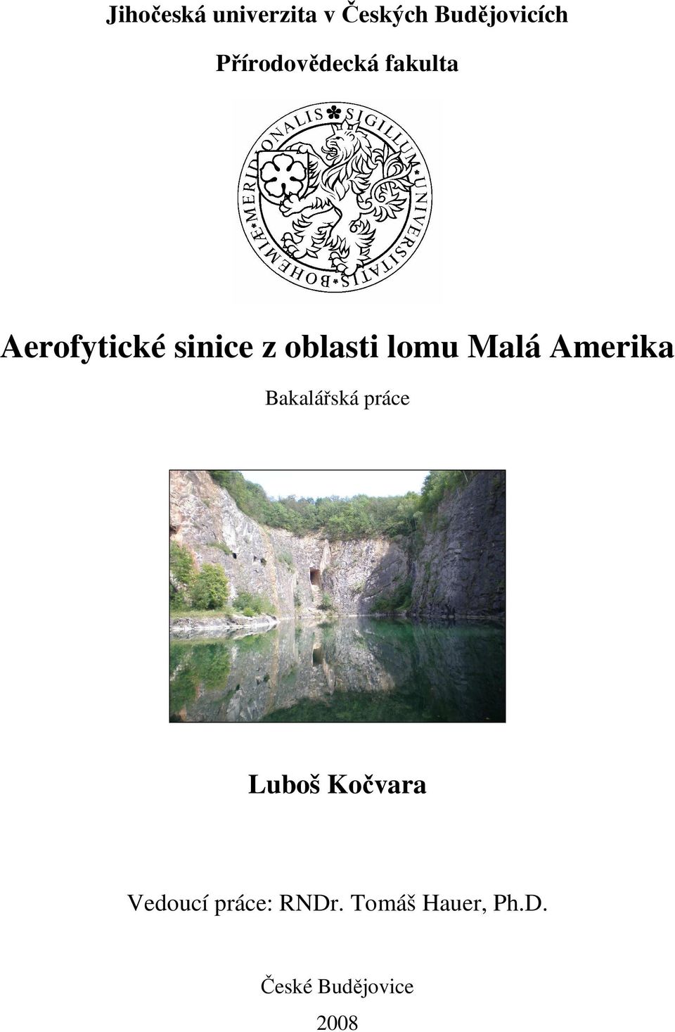 lomu Malá Amerika Bakalářská práce Luboš Kočvara