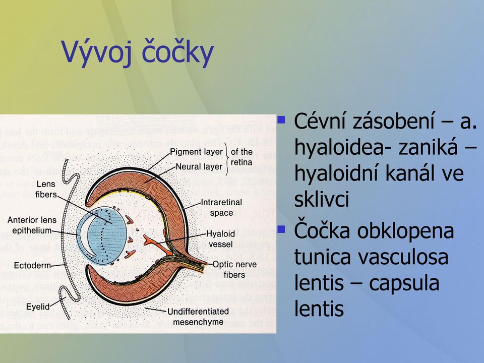 kanál ve sklivci Čočka obklopena