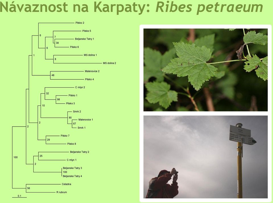 Pilsko 1 Pilsko 3 Smrk 2 2 2 90 Malenovice 1 67 Smrk 1 29 Pilsko 7 Pilsko 8