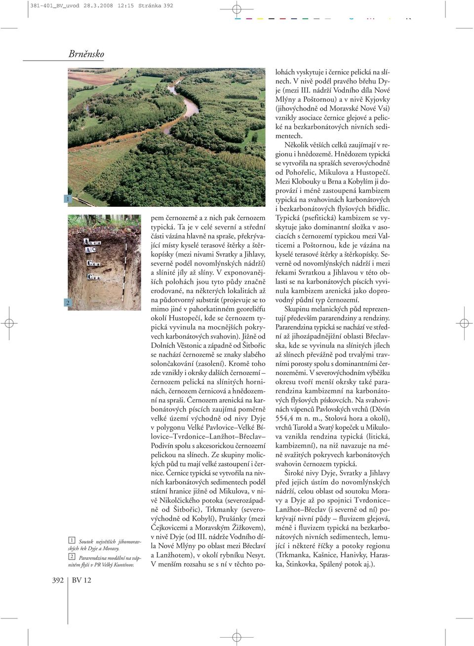 Ta je v celé severní a stfiední ãásti vázána hlavnû na spra e, pfiekr vající místy kyselé terasové tûrky a tûrkopísky (mezi nivami Svratky a Jihlavy, severnû podél novoml nsk ch nádrïí) a slínité