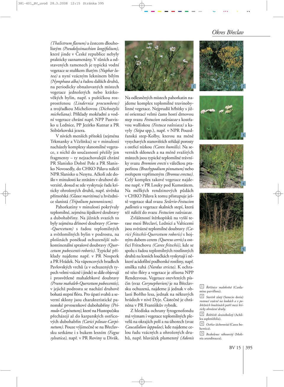 vegetace jednolet ch nebo krátkovûk ch bylin, napfi. s pu tiãkou rozprostfienou (Lindernia procumbens) a trojfiadkou Micheliovou (Dichostylis micheliana).