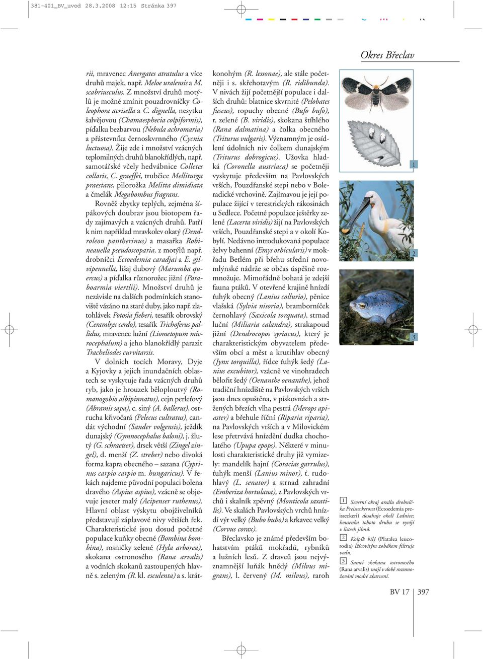 dignella, nesytku alvûjovou (Chamaesphecia colpiformis), píìalku bezbarvou (Nebula achromaria) a pfiástevníka ãernoskvrnného (Cycnia luctuosa).