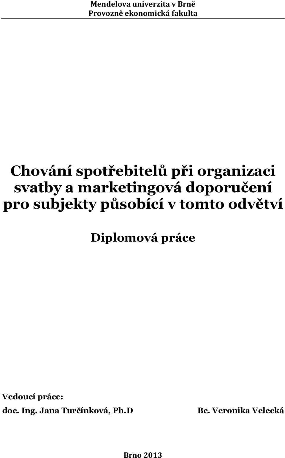 pro subjekty působící v tomto odvětví Diplomová práce Vedoucí