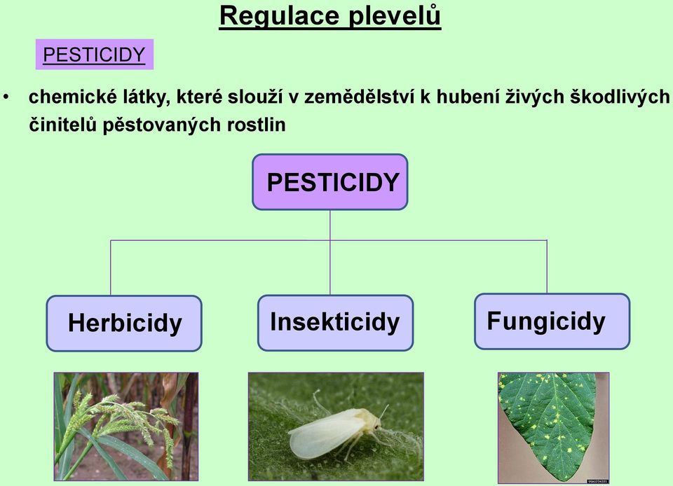 hubení živých škodlivých činitelů