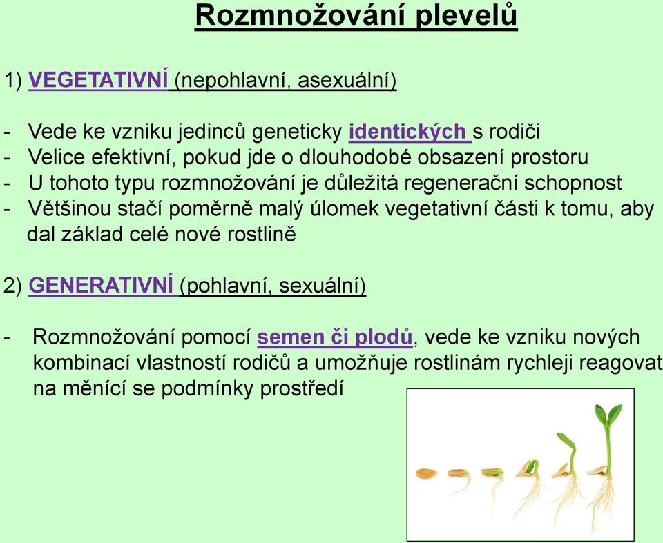 poměrně malý úlomek vegetativní části k tomu, aby dal základ celé nové rostlině 2) GENERATIVNÍ (pohlavní, sexuální) - Rozmnožování