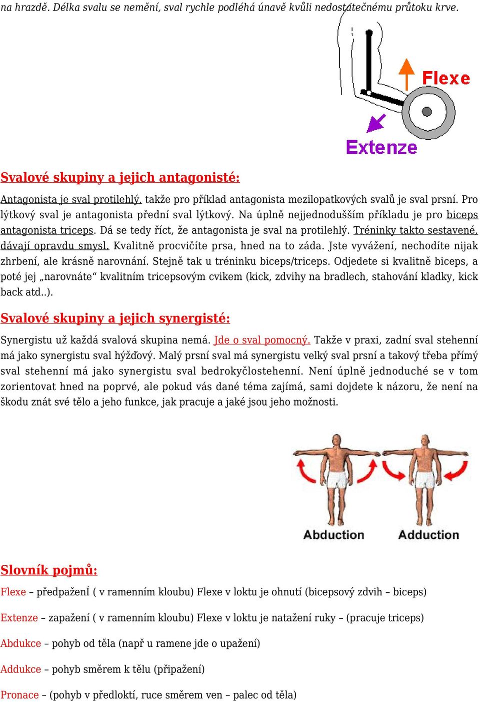 Na úplně nejjednodušším příkladu je pro biceps antagonista triceps. Dá se tedy říct, že antagonista je sval na protilehlý. Tréninky takto sestavené, dávají opravdu smysl.