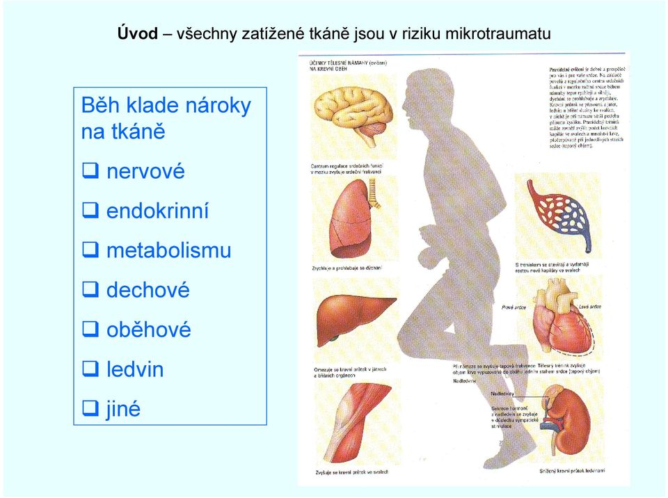 nároky na tkáně nervové endokrinní