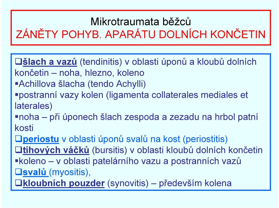 (tendo Achylli) postranní vazy kolen (ligamenta collaterales mediales et laterales) noha při úponech šlach zespoda a zezadu na hrbol