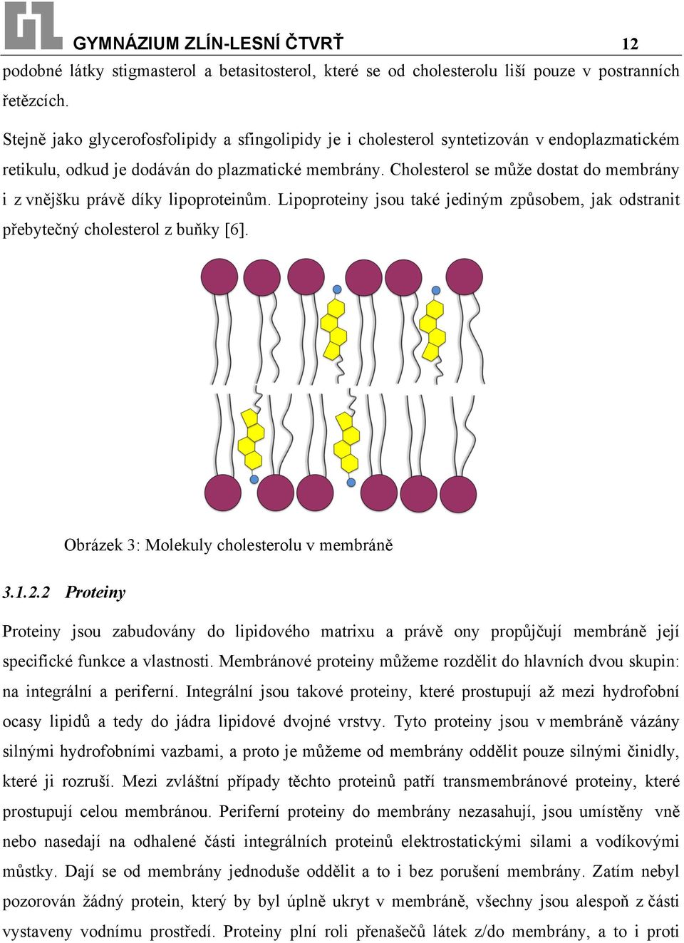 Cholesterol se může dostat do membrány i z vnějšku právě díky lipoproteinům. Lipoproteiny jsou také jediným způsobem, jak odstranit přebytečný cholesterol z buňky [6].