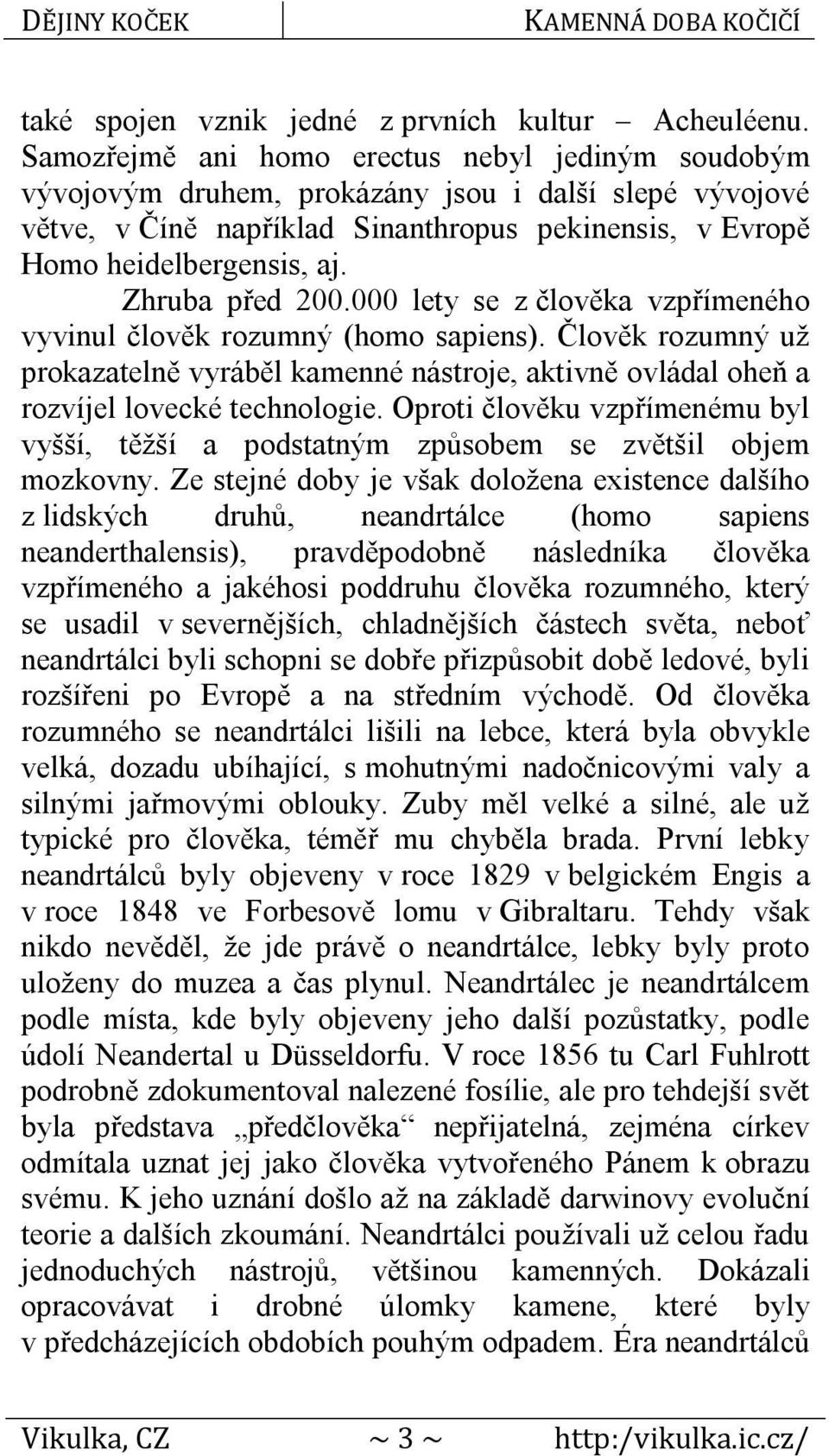 Zhruba před 200.000 lety se z člověka vzpřímeného vyvinul člověk rozumný (homo sapiens). Člověk rozumný už prokazatelně vyráběl kamenné nástroje, aktivně ovládal oheň a rozvíjel lovecké technologie.