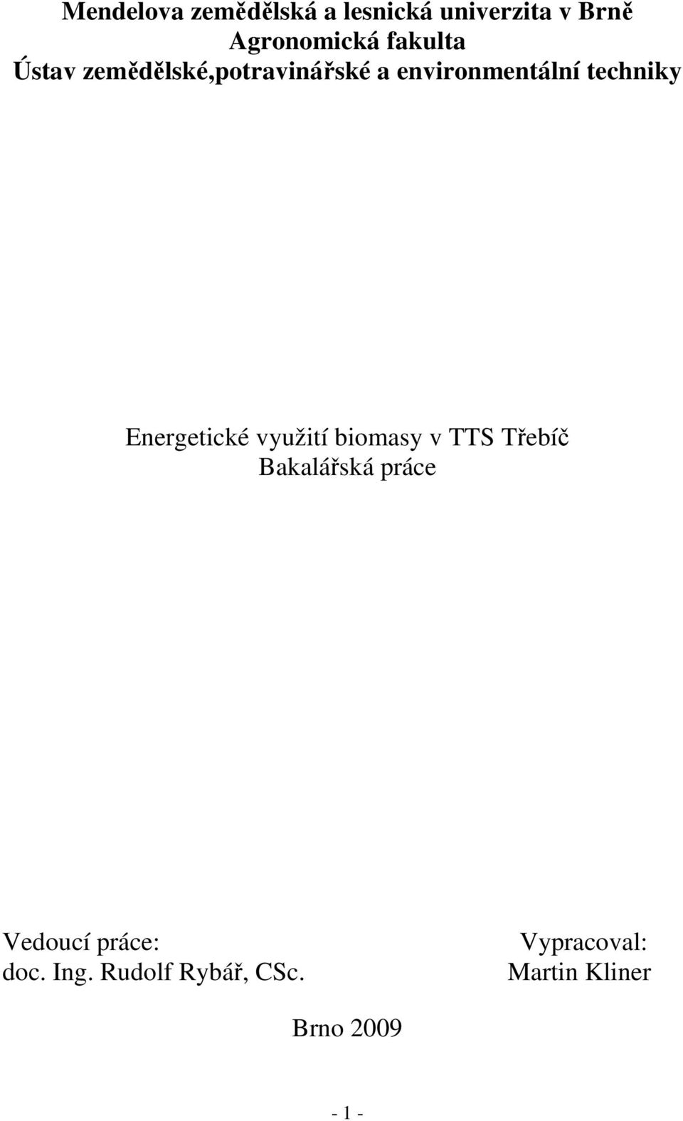 Energetické využití biomasy v TTS Třebíč Bakalářská práce Vedoucí