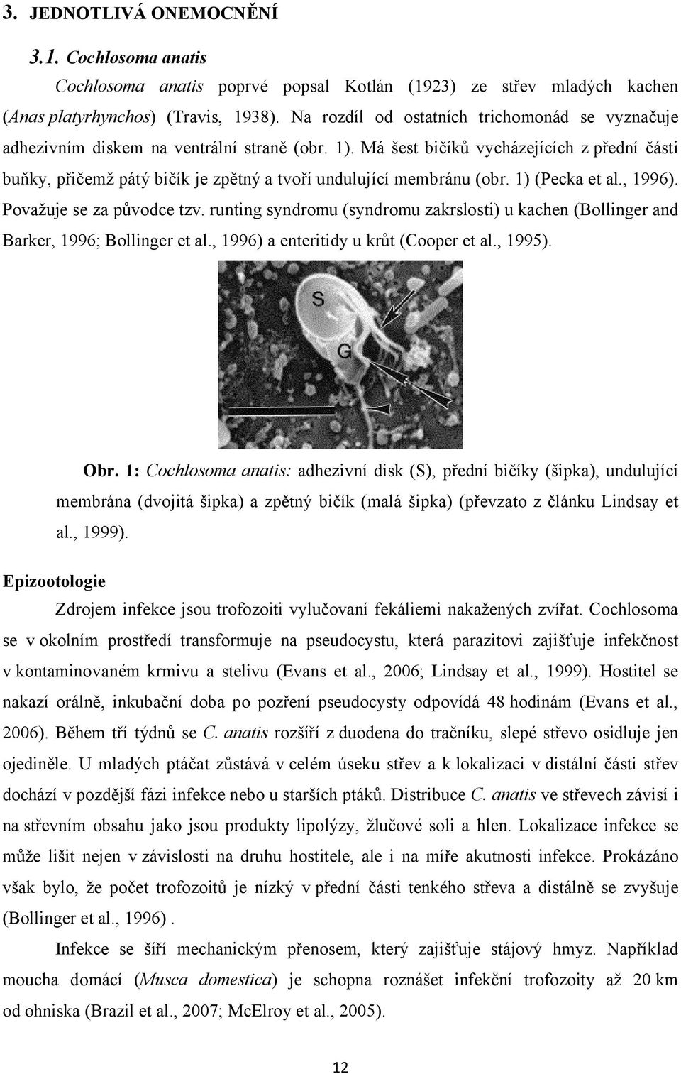 Má šest bičíků vycházejících z přední části buňky, přičemž pátý bičík je zpětný a tvoří undulující membránu (obr. 1) (Pecka et al., 1996). Považuje se za původce tzv.