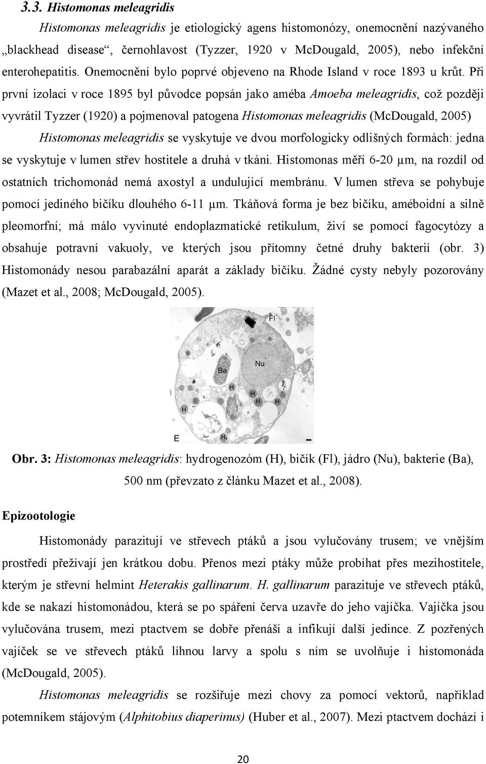 Při první izolaci v roce 1895 byl původce popsán jako améba Amoeba meleagridis, což později vyvrátil Tyzzer (1920) a pojmenoval patogena Histomonas meleagridis (McDougald, 2005) Histomonas