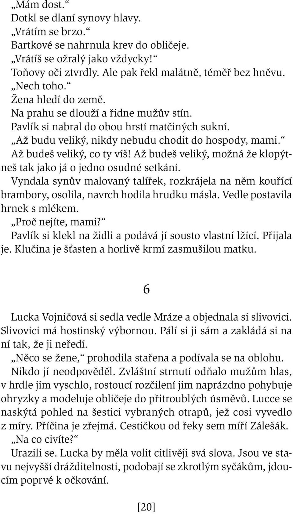 Až budeš veliký, možná že klopýtneš tak jako já o jedno osudné setkání. Vyndala synův malovaný talířek, rozkrájela na něm kouřící brambory, osolila, navrch hodila hrudku másla.