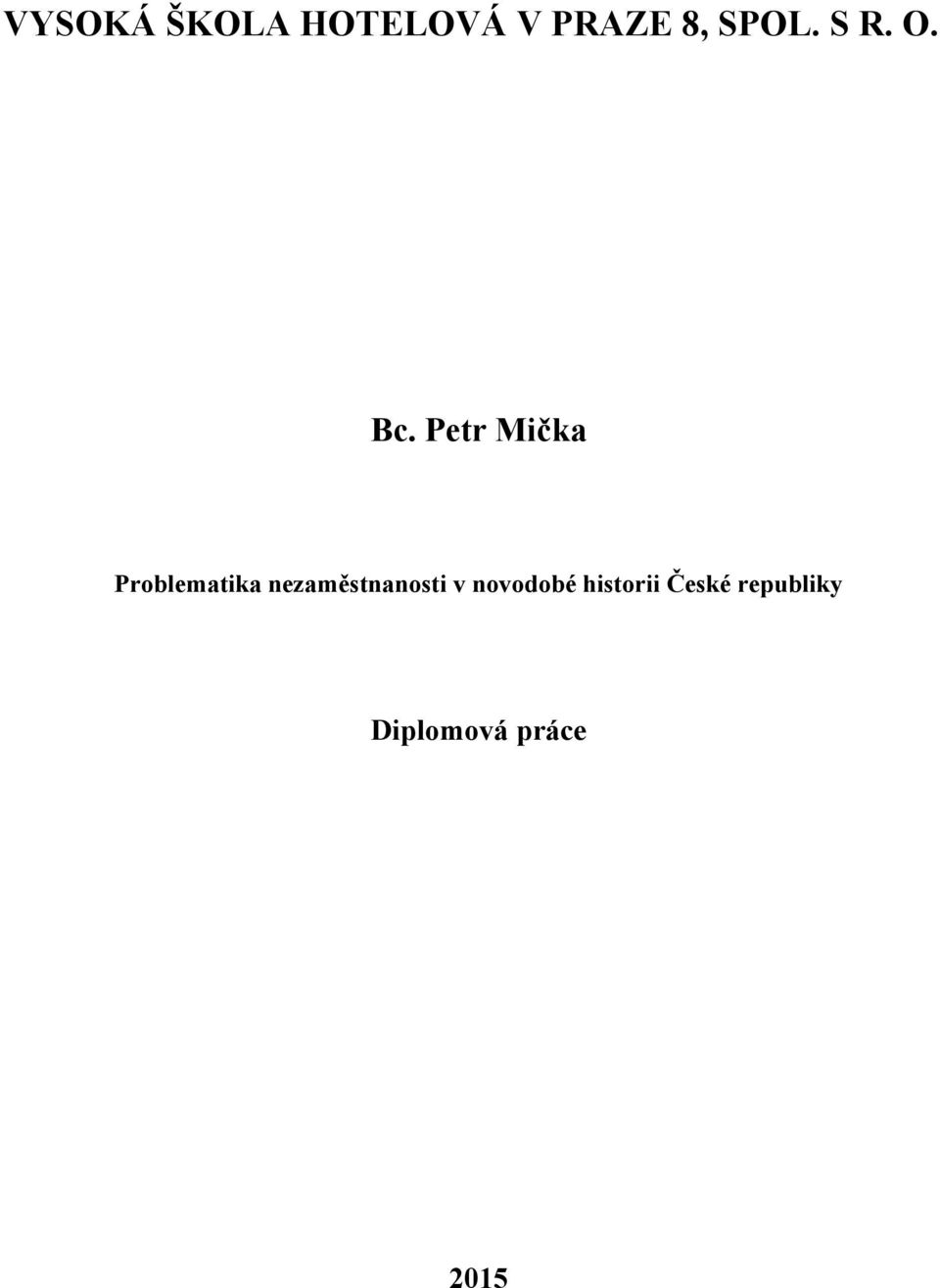 Petr Mička Problematika