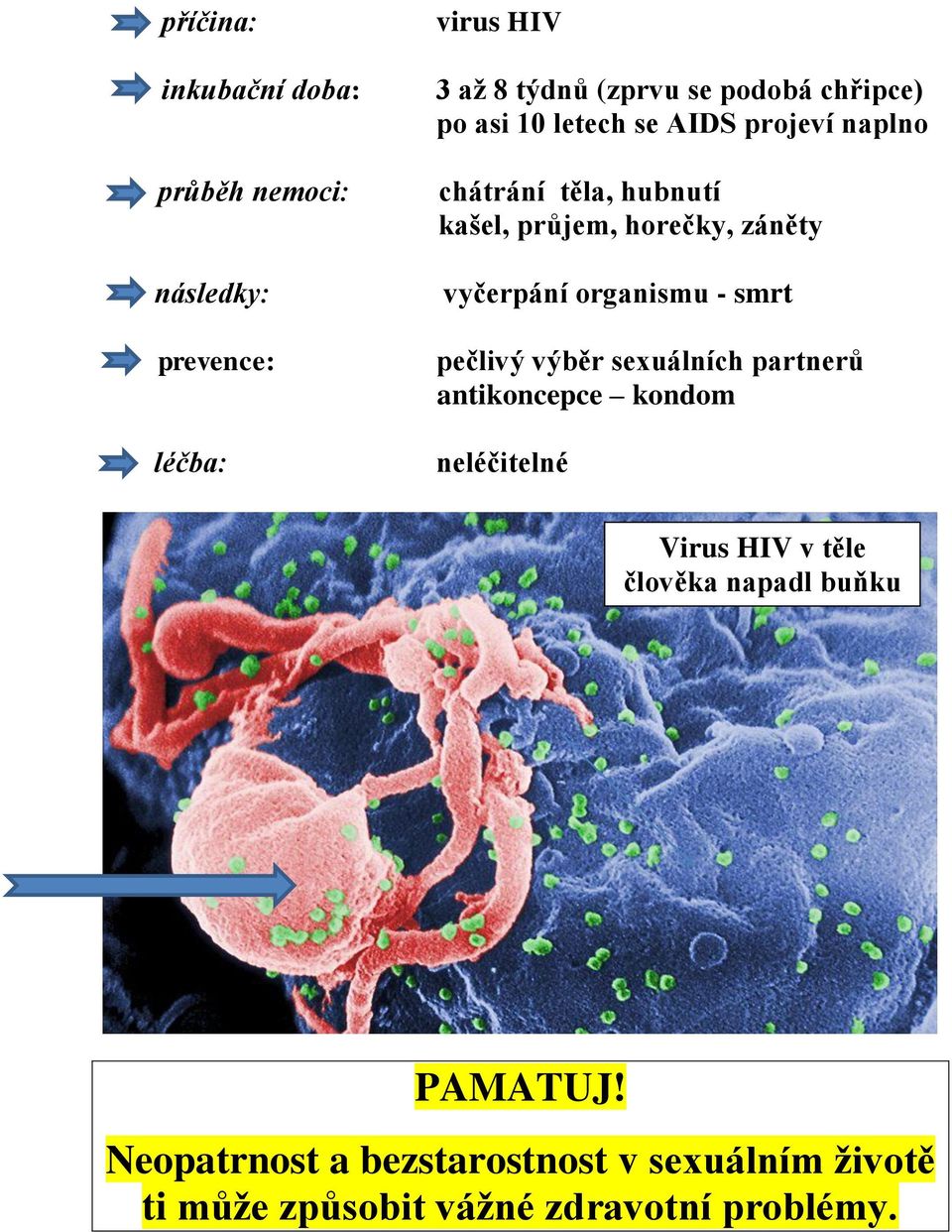 vyčerpání organismu - smrt pečlivý výběr sexuálních partnerů antikoncepce kondom neléčitelné Virus HIV v těle