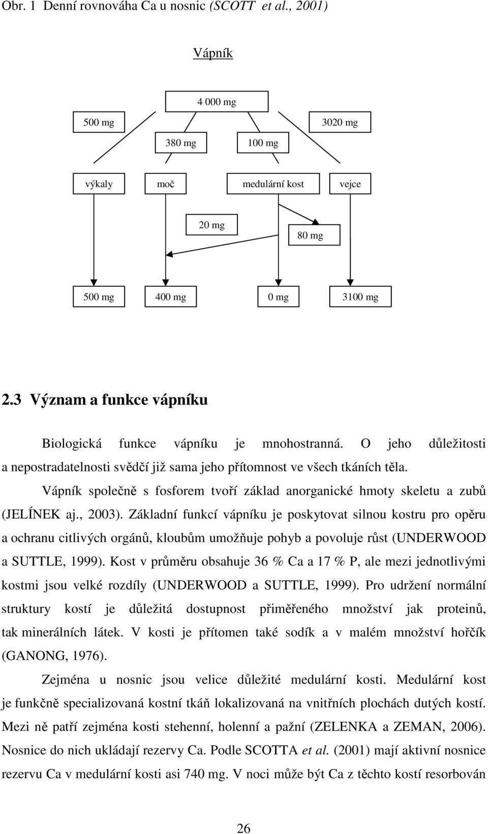 Vápník společně s fosforem tvoří základ anorganické hmoty skeletu a zubů (JELÍNEK aj., 2003).