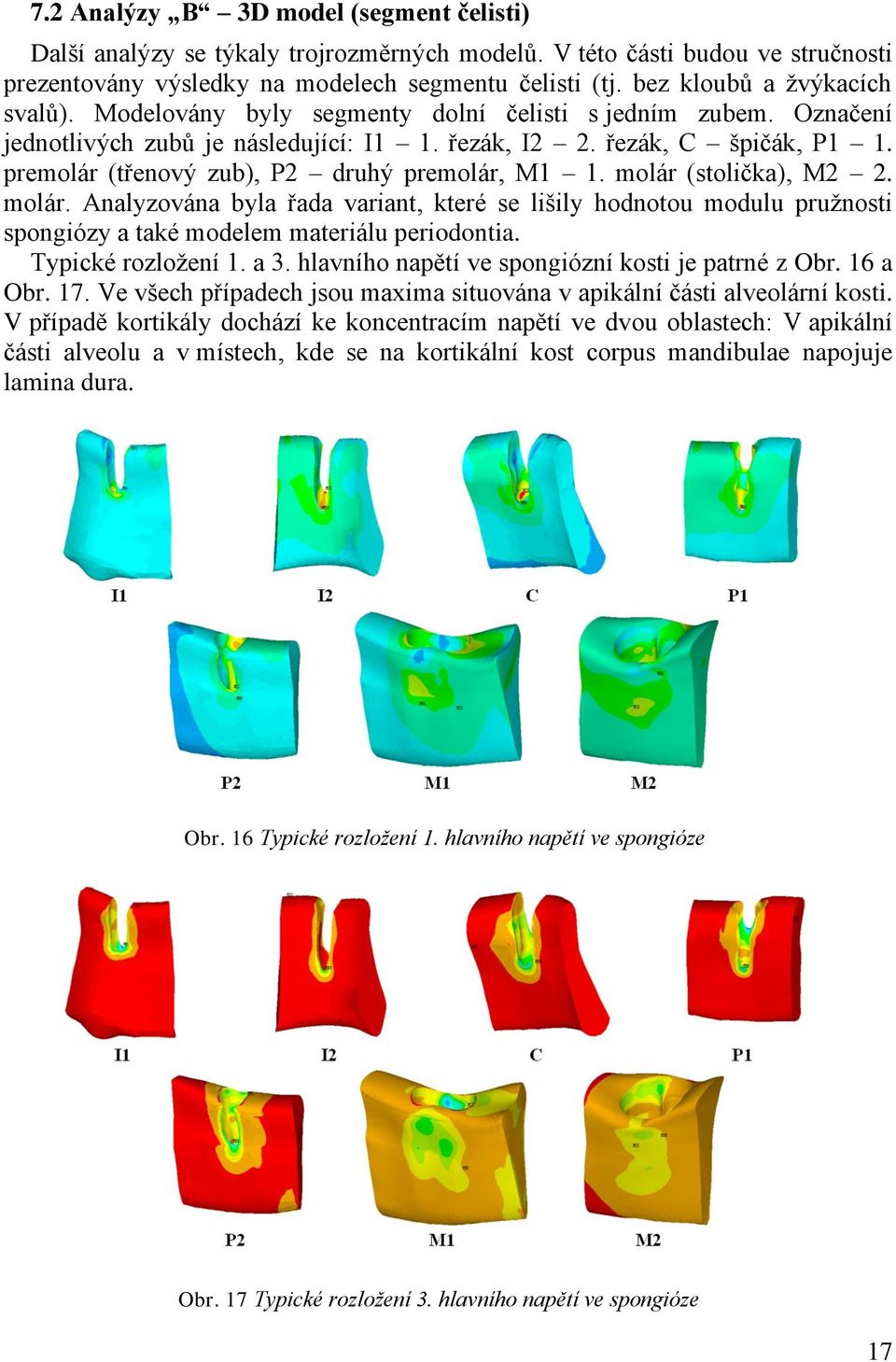 premolár (třenový zub), P2 druhý premolár, M1 1. molár (stolička), M2 2. molár. Analyzována byla řada variant, které se lišily hodnotou modulu pruţnosti spongiózy a také modelem materiálu periodontia.