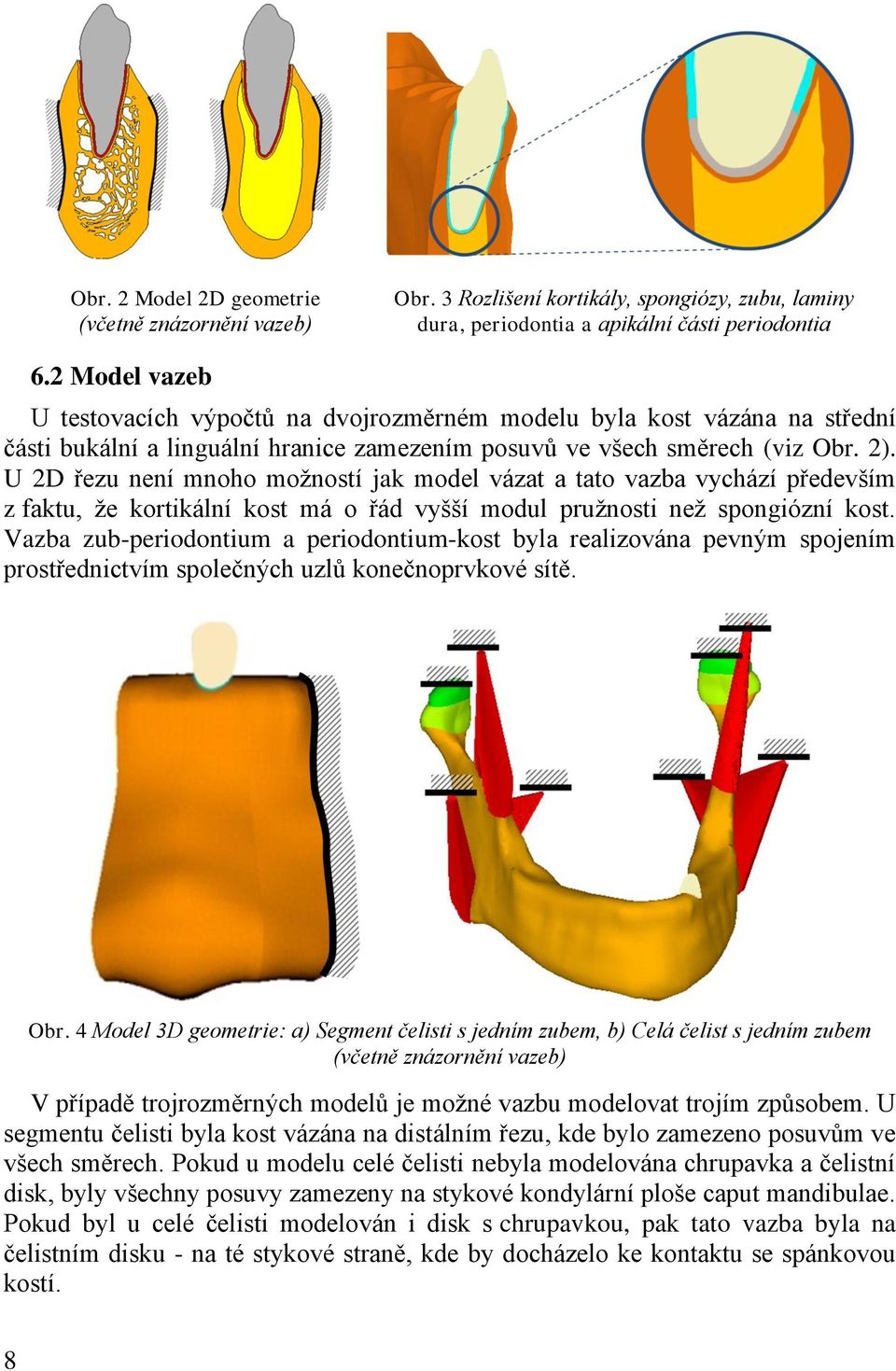 U 2D řezu není mnoho moţností jak model vázat a tato vazba vychází především z faktu, ţe kortikální kost má o řád vyšší modul pruţnosti neţ spongiózní kost.