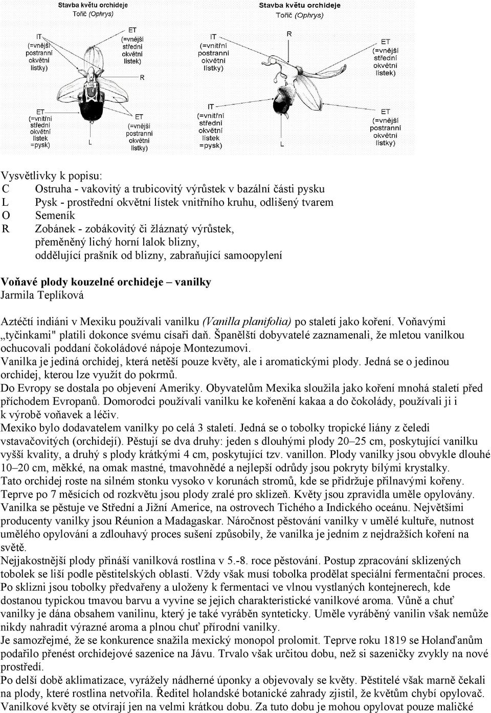 používali vanilku (Vanilla planifolia) po staletí jako koření. Voňavými tyčinkami" platili dokonce svému císaři daň.