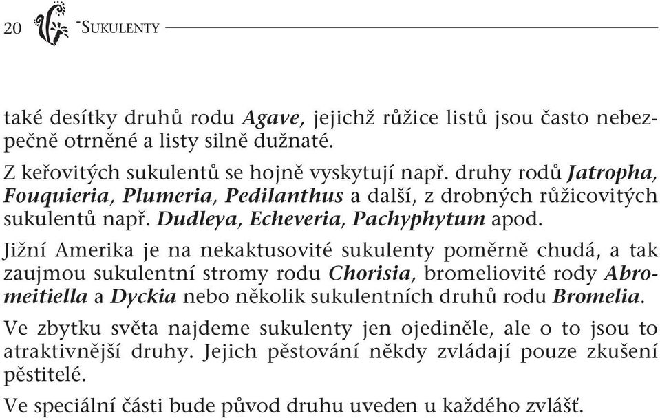 Jižní Amerika je na nekaktusovité sukulenty poměrně chudá, a tak zaujmou sukulentní stromy rodu Chorisia, bromeliovité rody Abromeitiella a Dyckia nebo několik sukulentních