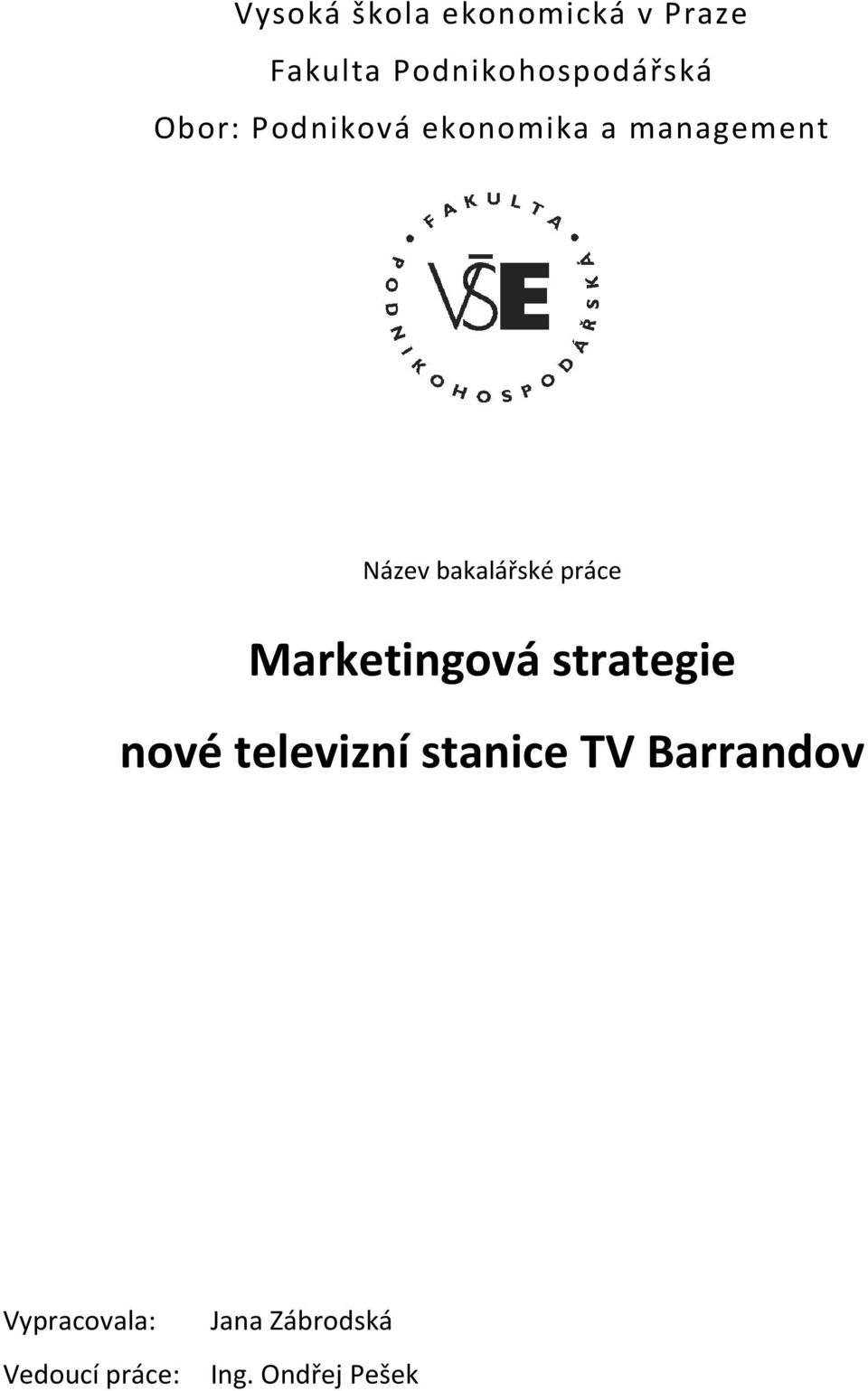 práce Marketingová strategie nové televizní stanice TV