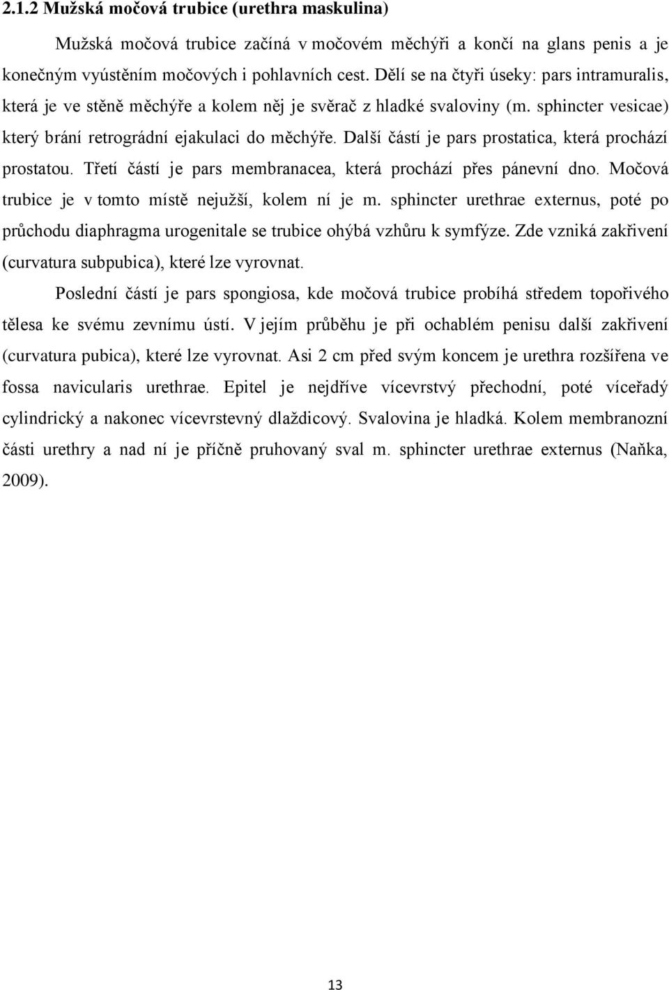 Další částí je pars prostatica, která prochází prostatou. Třetí částí je pars membranacea, která prochází přes pánevní dno. Močová trubice je v tomto místě nejužší, kolem ní je m.