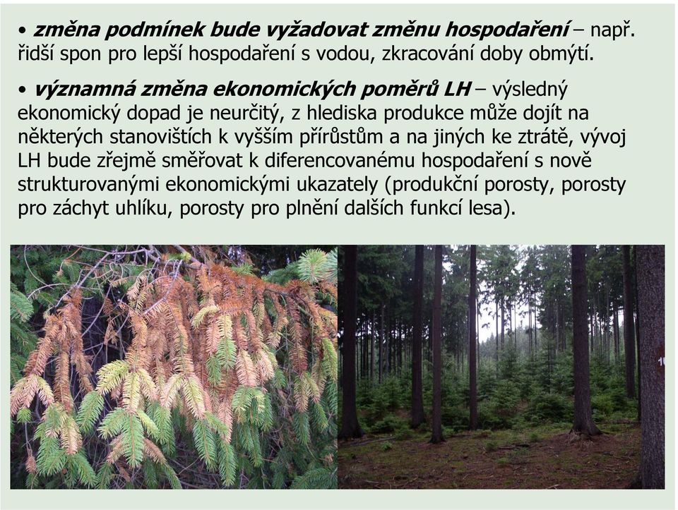 stanovištích k vyšším přírůstům a na jiných ke ztrátě, vývoj LH bude zřejmě směřovat k diferencovanému hospodaření s nově