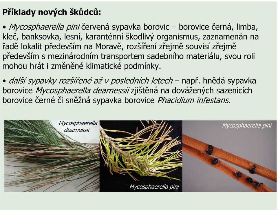 mohou hrát i změněné klimatické podmínky. další sypavky rozšířené až v posledních letech např.