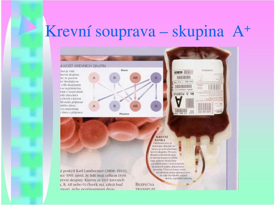 skupina A