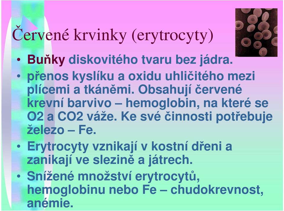 Obsahují červené krevní barvivo hemoglobin, na které se O2 a CO2 váže.