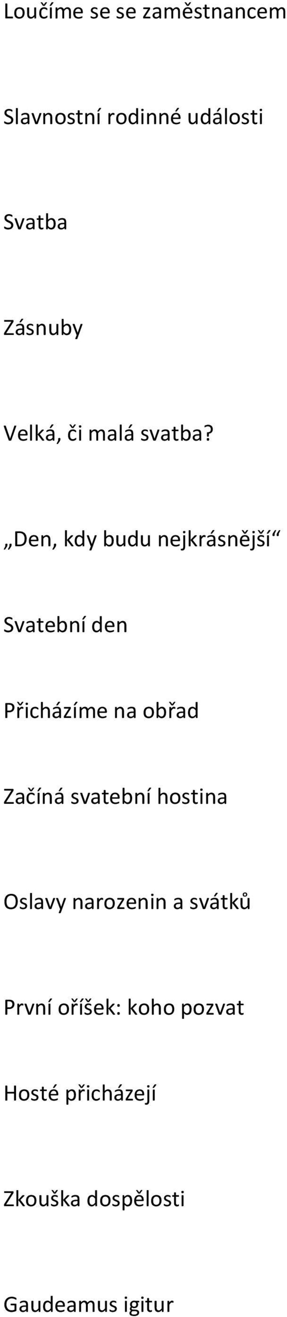 Den, kdy budu nejkrásnější Svatební den Přicházíme na obřad Začíná