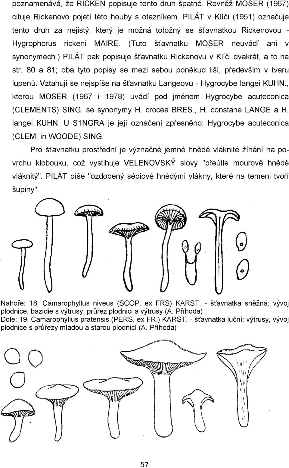 ) PILÁT pak popisuje šťavnatku Rickenovu v Klíči dvakrát, a to na str. 80 a 81; oba tyto popisy se mezi sebou poněkud liší, především v tvaru lupenů.
