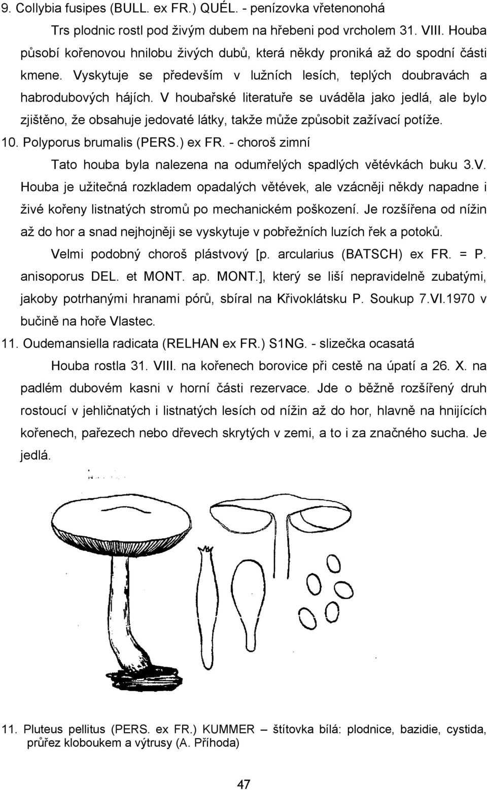 V houbařské literatuře se uváděla jako jedlá, ale bylo zjištěno, že obsahuje jedovaté látky, takže může způsobit zažívací potíže. 10. Polyporus brumalis (PERS.) ex FR.