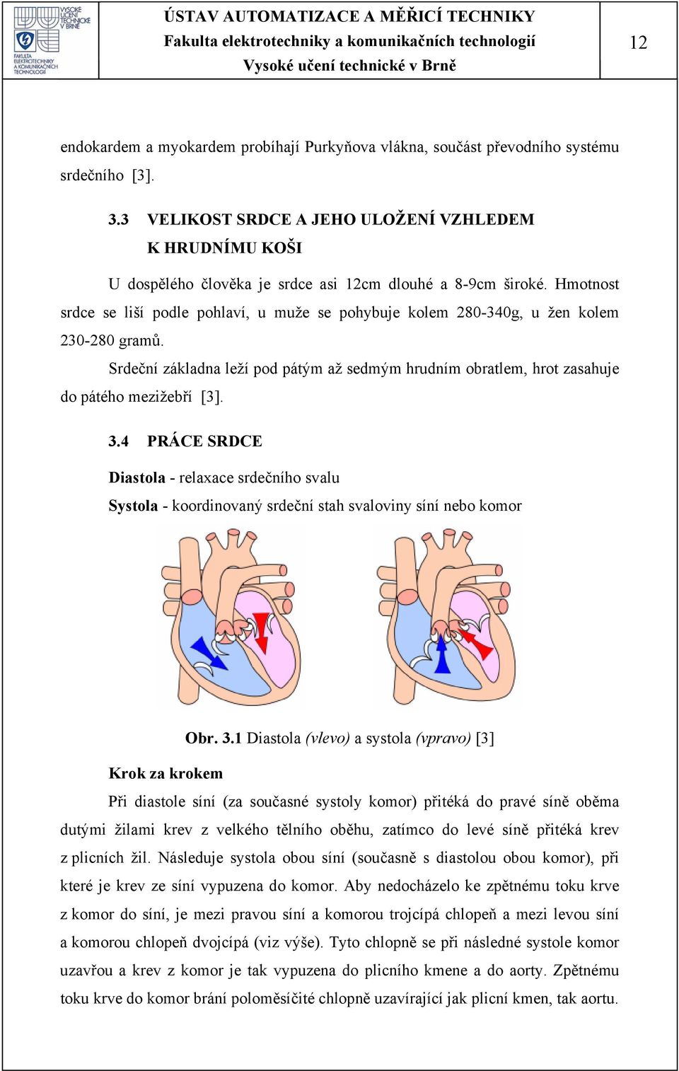 Hmotnost srdce se liší podle pohlaví, u muže se pohybuje kolem 280-340g, u žen kolem 230-280 gramů. Srdeční základna leží pod pátým až sedmým hrudním obratlem, hrot zasahuje do pátého mezižebří [3].