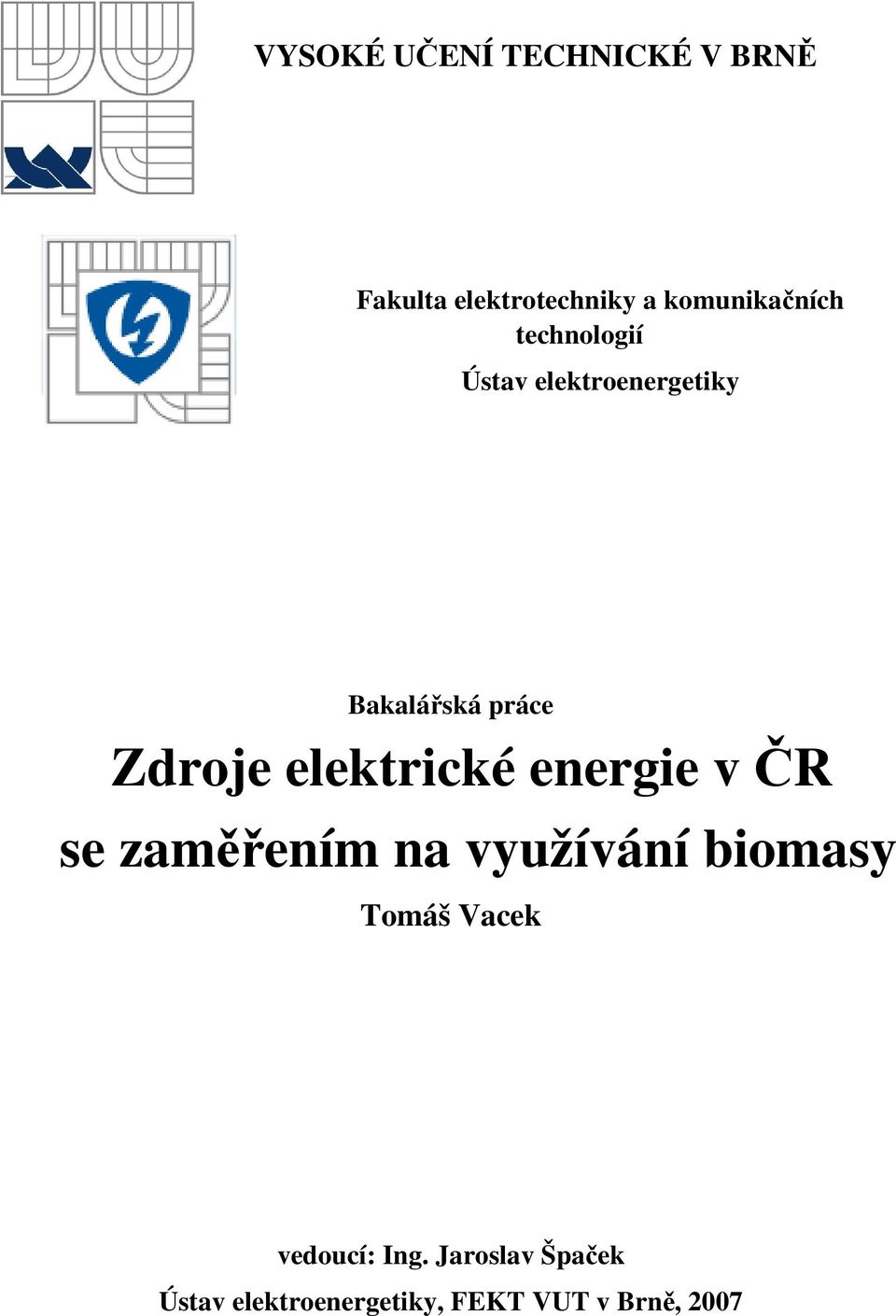 Zdroje elektrické energie v ČR se zaměřením na využívání biomasy