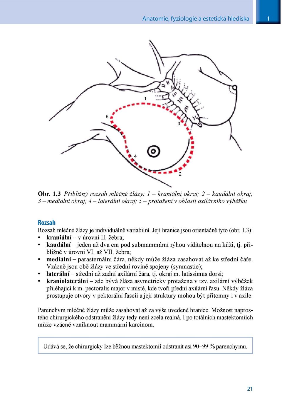 3 Přibližný rozsah mléčné žlázy: 1 kraniální okraj; 2 kaudální okraj; 3 mediální okraj; 4 laterální okraj; 5 protažení v oblasti axilárního výběžku Rozsah Rozsah mléčné žlázy je individuálně