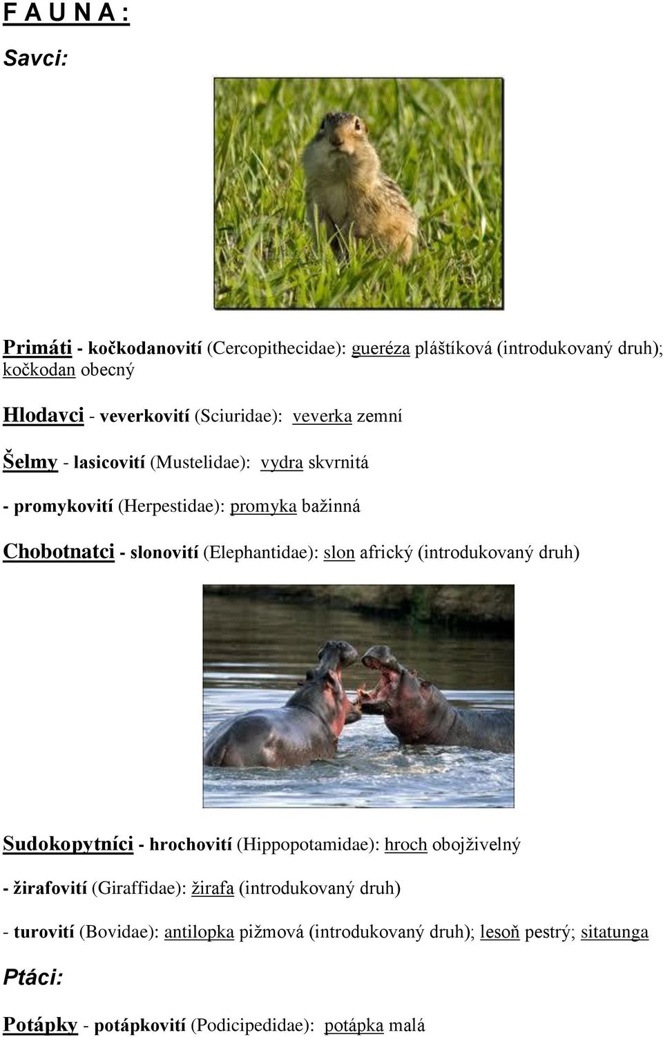 (Elephantidae): slon africký (introdukovaný druh) Sudokopytníci - hrochovití (Hippopotamidae): hroch obojživelný - žirafovití (Giraffidae): žirafa