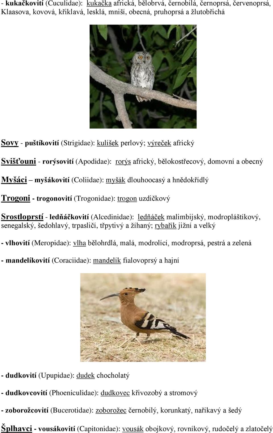 (Trogonidae): trogon uzdičkový Srostloprstí - ledňáčkovití (Alcedinidae): ledňáček malimbijský, modropláštíkový, senegalský, šedohlavý, trpasličí, třpytivý a žíhaný; rybařík jižní a velký - vlhovití