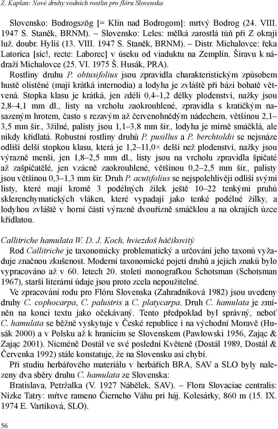 Šíravu k nádraží Michalovce (25. VI. 1975 Š. Husák, PRA). Rostliny druhu P.