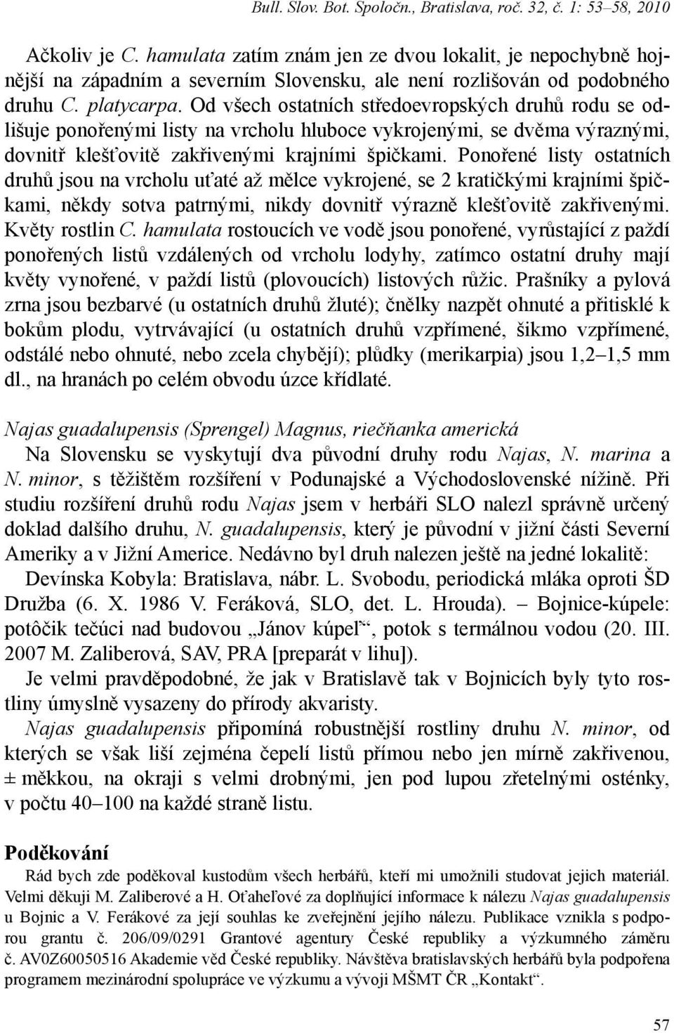 Od všech ostatních středoevropských druhů rodu se odlišuje ponořenými listy na vrcholu hluboce vykrojenými, se dvěma výraznými, dovnitř klešťovitě zakřivenými krajními špičkami.