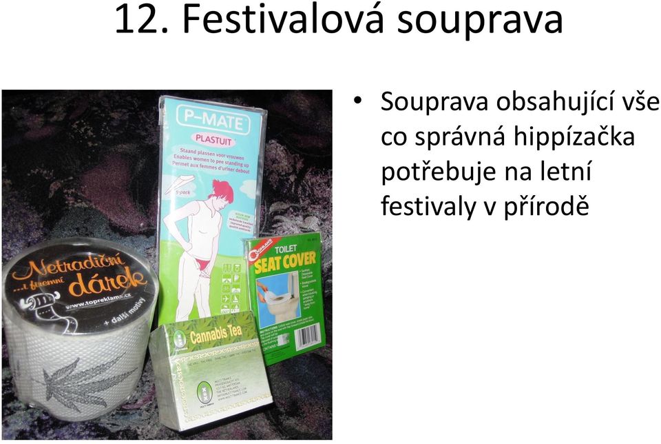 správná hippízačka