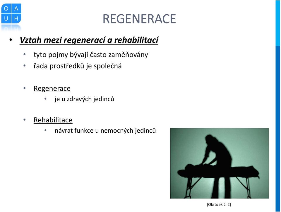 je společná Regenerace je u zdravých jedinců