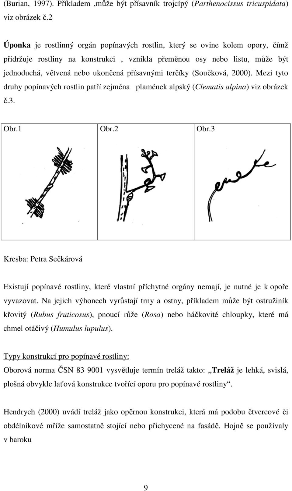 přísavnými terčíky (Součková, 2000). Mezi tyto druhy popínavých rostlin patří zejména plamének alpský (Clematis alpina) viz obrázek č.3. Obr.1 Obr.2 Obr.