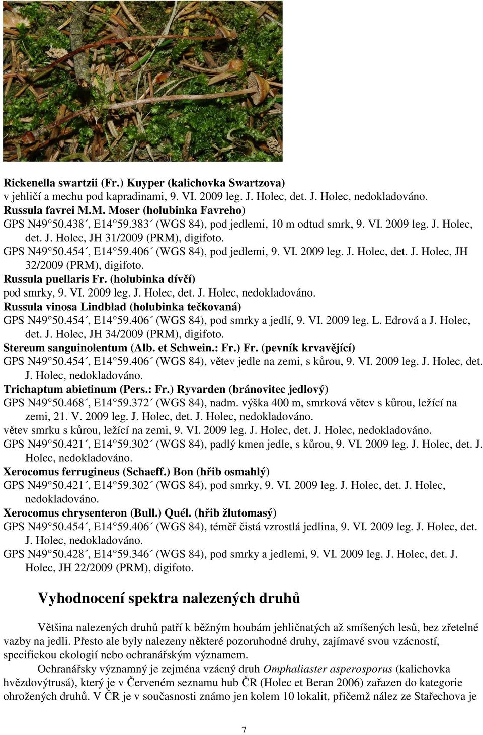 Russula puellaris Fr. (holubinka dívčí) pod smrky, 9. VI. 2009 leg. J. Holec, det. Russula vinosa Lindblad (holubinka tečkovaná) GPS N49 50.454, E14 59.406 (WGS 84), pod smrky a jedlí, 9. VI. 2009 leg. L. Edrová a J.